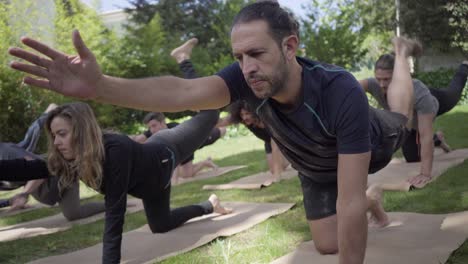 Konzentrierte-Menschen,-Die-Yoga-Posen-Im-Freien-Ausführen